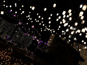 ひらかたパークに投稿された画像（2020/12/29）