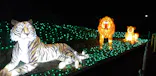 東武動物公園に投稿された画像（2020/12/30）