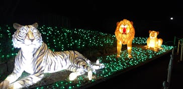 東武動物公園に投稿された画像（2020/12/29）