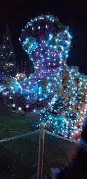 東武動物公園に投稿された画像（2020/12/29）