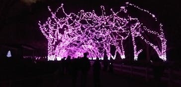 東武動物公園に投稿された画像（2020/12/29）