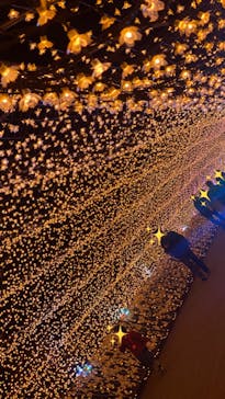 東京メガイルミに投稿された画像（2020/12/30）