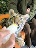 しろとり動物園に投稿された画像（2020/12/30）