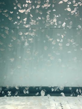 アクアワールド茨城県大洗水族館に投稿された画像（2020/12/30）