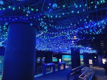 アクアワールド茨城県大洗水族館に投稿された画像（2020/12/30）