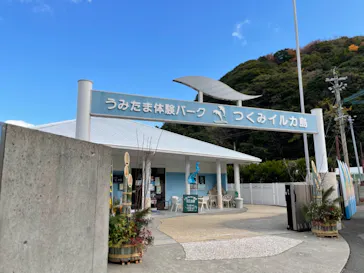 うみたま体験パーク 「つくみイルカ島」に投稿された画像（2020/12/30）