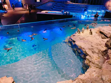 すみだ水族館に投稿された画像（2020/12/30）