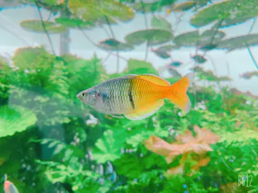 すみだ水族館に投稿された画像（2020/12/30）