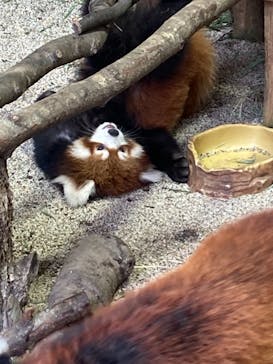 那須どうぶつ王国に投稿された画像（2020/12/30）