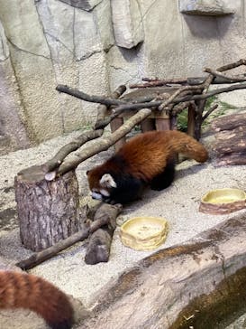 那須どうぶつ王国に投稿された画像（2020/12/30）