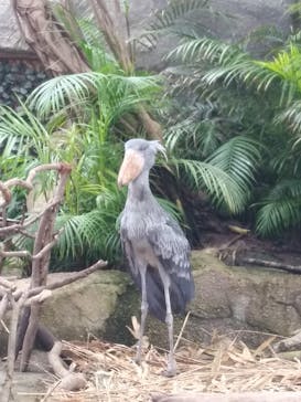 那須どうぶつ王国に投稿された画像（2020/12/30）