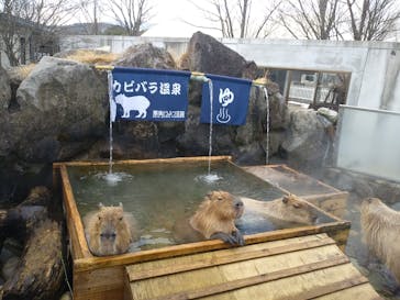 那須どうぶつ王国に投稿された画像（2020/12/30）