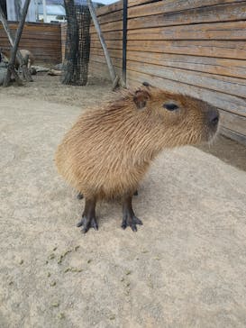 那須どうぶつ王国に投稿された画像（2020/12/30）