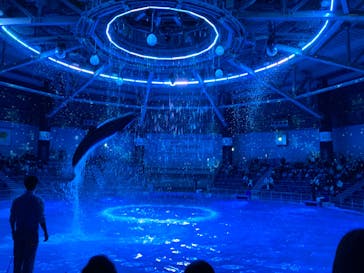 マクセル アクアパーク品川に投稿された画像（2020/12/30）