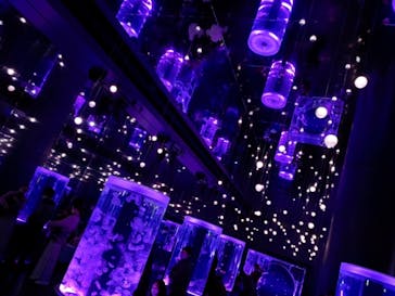 マクセル アクアパーク品川に投稿された画像（2020/12/30）