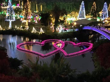 美らヤシパークオキナワ・東南植物楽園に投稿された画像（2020/12/30）