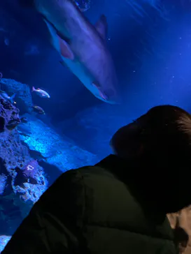 すみだ水族館に投稿された画像（2020/12/30）