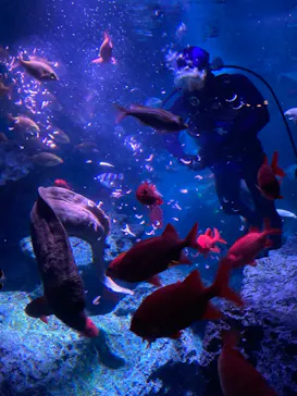 すみだ水族館に投稿された画像（2020/12/30）