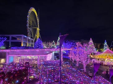 よみうりランド 遊園地に投稿された画像（2020/12/30）