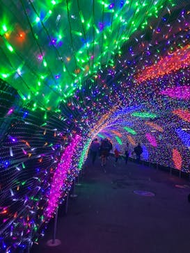 よみうりランド 遊園地に投稿された画像（2020/12/30）