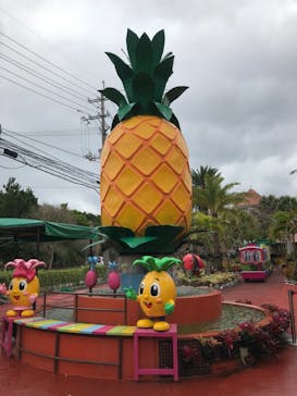 ナゴパイナップルパークに投稿された画像（2020/12/30）