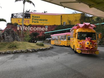 ナゴパイナップルパークに投稿された画像（2020/12/30）