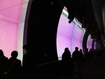 アクアワールド茨城県大洗水族館に投稿された画像（2020/12/30）