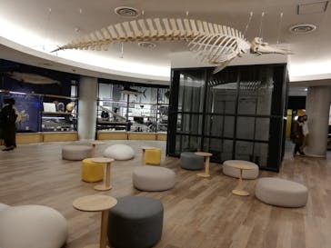 アクアワールド茨城県大洗水族館に投稿された画像（2020/12/30）