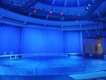 アクアワールド茨城県大洗水族館に投稿された画像（2020/12/30）