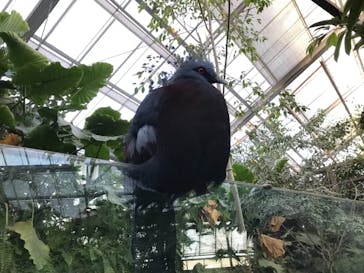 神戸どうぶつ王国に投稿された画像（2020/12/30）