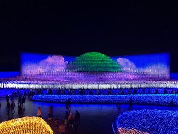 なばなの里に投稿された画像（2020/12/30）