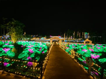 美らヤシパークオキナワ・東南植物楽園に投稿された画像（2020/12/30）