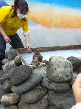 おさるランド＆アニタウン　日光さる軍団劇場に投稿された画像（2020/12/30）