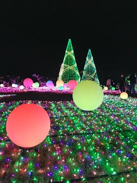 よみうりランド 遊園地に投稿された画像（2020/12/30）