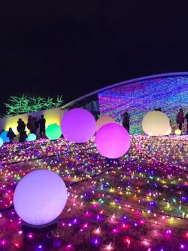 よみうりランド 遊園地に投稿された画像（2020/12/30）