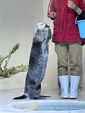 鳥羽水族館に投稿された画像（2020/12/30）