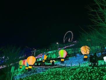 さがみ湖MORI MORIに投稿された画像（2020/12/30）