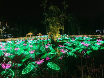 美らヤシパークオキナワ・東南植物楽園に投稿された画像（2020/12/30）