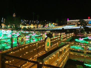 美らヤシパークオキナワ・東南植物楽園に投稿された画像（2020/12/30）