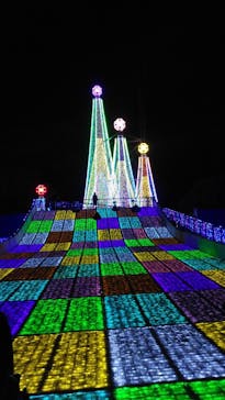 よみうりランド 遊園地に投稿された画像（2020/12/31）