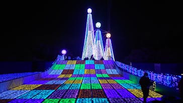 よみうりランド 遊園地に投稿された画像（2020/12/31）