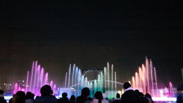 よみうりランド 遊園地に投稿された画像（2020/12/31）