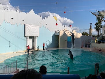 株式会社Gに投稿された画像（2020/12/31）