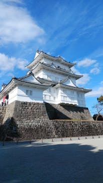 小田原城に投稿された画像（2020/12/31）