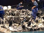 すみだ水族館に投稿された画像（2020/12/31）