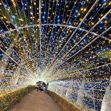 美らヤシパークオキナワ・東南植物楽園に投稿された画像（2020/12/31）