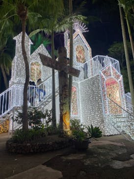 美らヤシパークオキナワ・東南植物楽園に投稿された画像（2020/12/31）