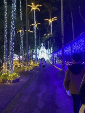 美らヤシパークオキナワ・東南植物楽園に投稿された画像（2020/12/31）