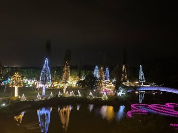 美らヤシパークオキナワ・東南植物楽園に投稿された画像（2020/12/31）