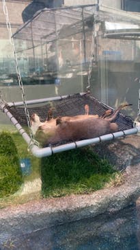 サンシャイン水族館に投稿された画像（2020/12/31）